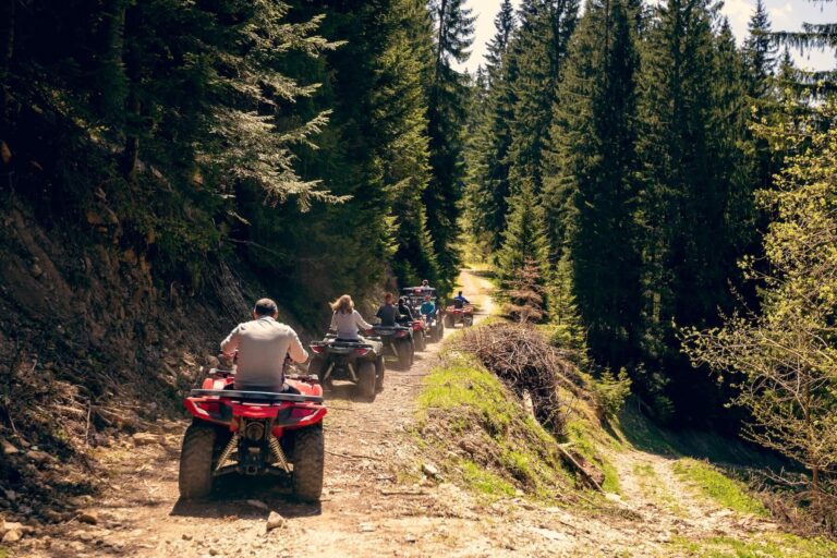 8 Best Bookeo Alternatives for Activity & Experience Providers