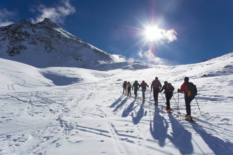 11 Best Alternatives to Orioly: 2026 Comparison Guide