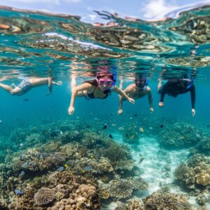 More Reach, Less Effort: How Our Newest Partners Are Growing Your Business